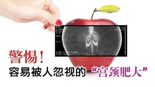 解读宫颈肥大的原因、症状以及治疗和预防