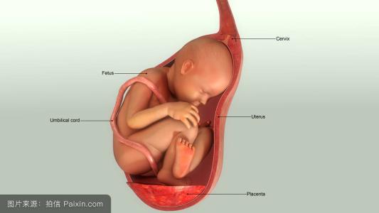 人流后怎样保养子宫